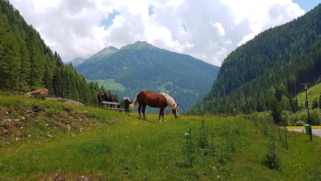 Gaestehaus Truskaller Hotel Mallnitz Buitenkant foto